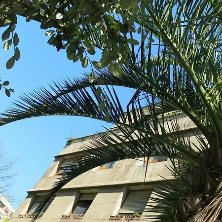 Appartement Maravillosa Vivienda Uso Turistico Con Parking Vut 921 As